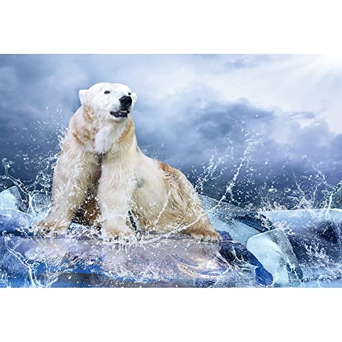 Aoihrraan 3x2m Eisbär Hintergrund Symbolische Tiere R Antarktis Gletscher EIS Naturlandschaft Fotografie Abenteuer Tour Thema Party Kinr Jungen Erwachsene Künstlerisch Porträt Fotostudio Vinyl Aoihrraan 3x2m Eisbär Hintergrund Symbolische Tiere R Antarktis Gletscher EIS Naturlandschaft Fotografie Abenteuer Tour Thema Party Kinr Jungen Erwachsene Künstlerisch Porträt Fotostudio Vinyl von Aoihrraan