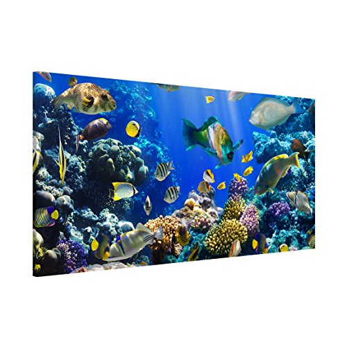 Magnettafel Underwater Reef Memoboard Design Quer Metall Magnet Pinnwand Motiv Wand Stahl Küche Büro, Größe HxB: 37cm x 78cm von Apalis