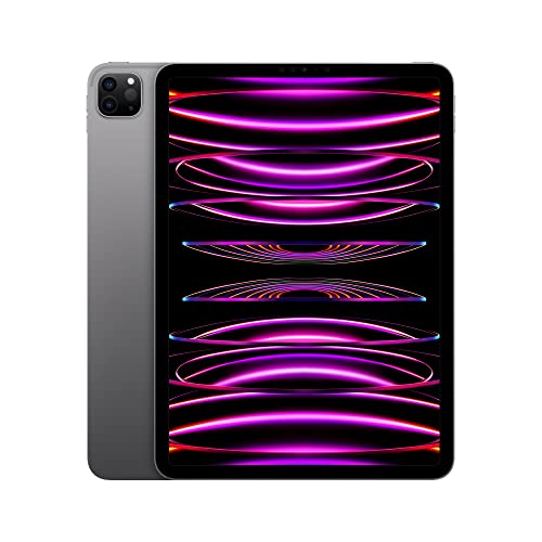 Apple 2022 11" iPad Pro (Wi-Fi, 1 TB) - Space Grau (4. Generation) von Apple