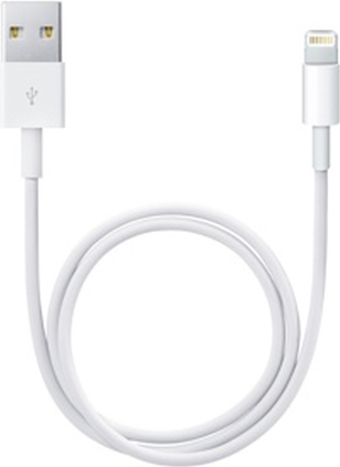 Apple - Lightning-Kabel - Lightning m�nnlich zu USB m�nnlich - 50 cm - f�r Apple iPad/iPhone/iPod (Lightning) von Apple