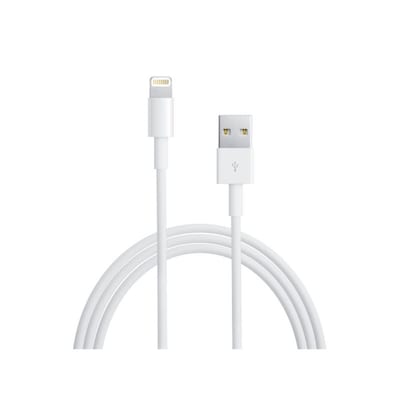 Apple Lightning auf USB Kabel 0,5m von Apple