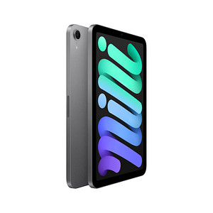 Apple iPad mini Wi-Fi (A17 Pro) (2024) 21,1 cm (8,3 Zoll) 256 GB spacegrau von Apple