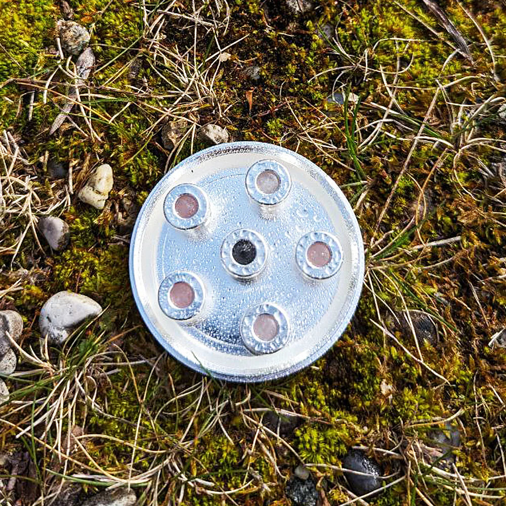 Kristallwirbel Duschkopf „Venusrose 6“ - Silber Kristallwirbel Duschkopf „Venusrose 6“ - Silber von Aquadea