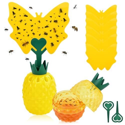 Aragallant Fruchtfliegenfalle für Küche, Obstfliegenfalle Küche, 2 Lockstoff für Fruchtfliegen, Fliegenfängern Gelbsticker, Fliegenfalle Innenbereich, Fruchtfliegen Bekämpfen, Fruit Fly Trap Aragallant Fruchtfliegenfalle für Küche, Obstfliegenfalle Küche, 2 Lockstoff für Fruchtfliegen, Fliegenfängern Gelbsticker, Fliegenfalle Innenbereich, Fruchtfliegen Bekämpfen, Fruit Fly Trap von Aragallant