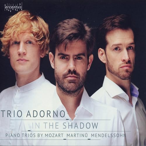 In the Shadow - Klaviertrios von Arcantus