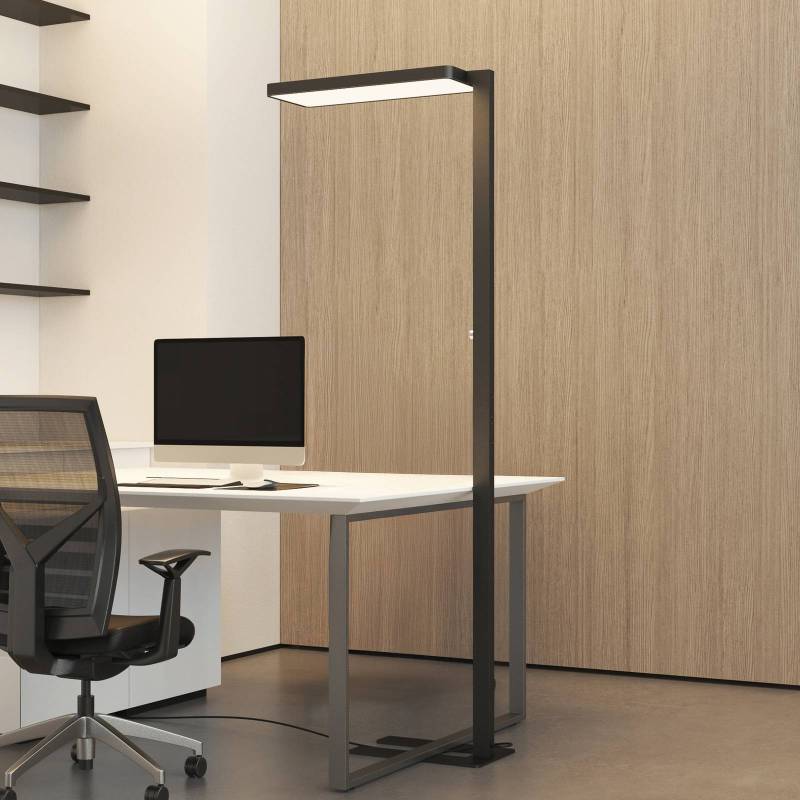 Arcchio LED-Stehleuchte Timon, 54W, schwarz, Höhe 195 cm von Arcchio