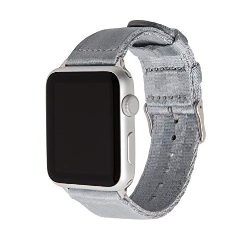 Archer Watch Straps - Premium-Uhrenarmbänder aus Nylon-Sitzgurtmaterial für die Apple Watch (Grau/Edelstahl, 38/40/41mm) von Archer Watch Straps