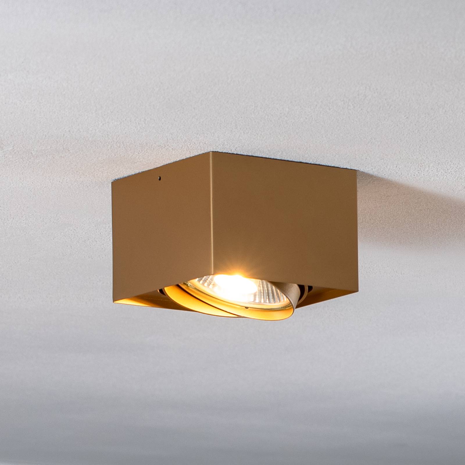 Deckenstrahler Riesta, gold, einflammig Deckenstrahler Riesta, gold, einflammig von Argon