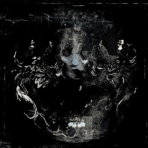 Anamorphosis von Argonauta Records
