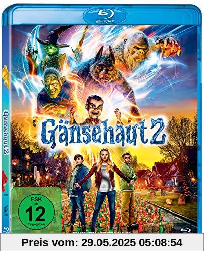 Gänsehaut 2 [Blu-ray] von Ari Sandel