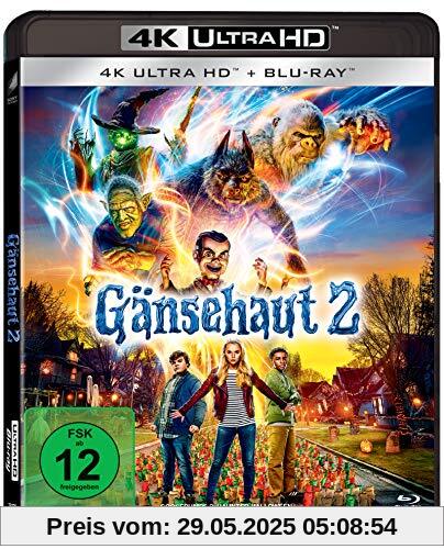 Gänsehaut 2 [Blu-ray] von Ari Sandel