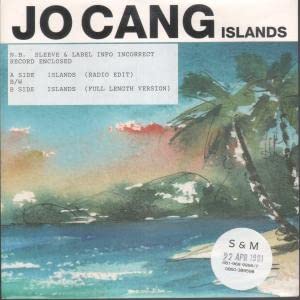 Islands (1991) / Vinyl single [Vinyl-Single 7''] von Arista