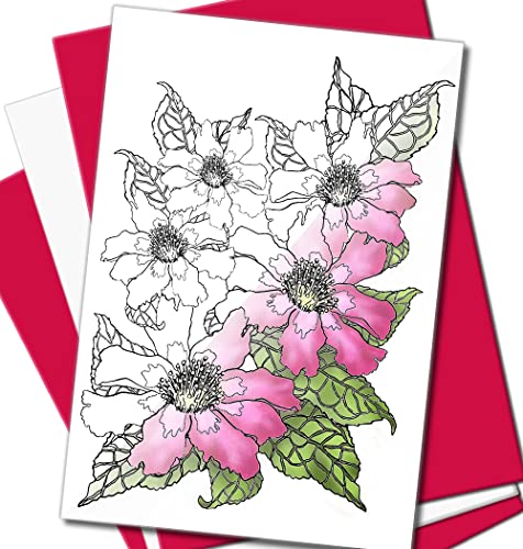 Art Eclect Grußkarten zum Ausmalen, für Geburtstage, Jahrestage und Jeden Anlass | 20 Einzigartige Designs zum Ausmalen und Versenden | inkl. Briefumschlägen | Blumen Set B20/WeißRosa von Art Eclect