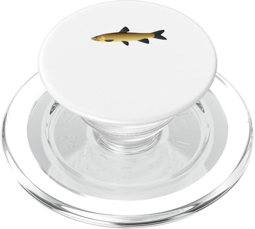 Chinesischer Karpfen PopSockets PopGrip für MagSafe Chinesischer Karpfen PopSockets PopGrip für MagSafe von ArtAttack