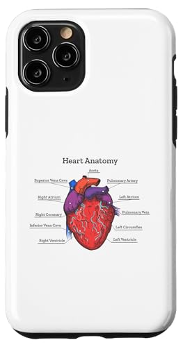 Herz Anatomie Kardiologie Hülle für iPhone 11 Pro Herz Anatomie Kardiologie Hülle für iPhone 11 Pro von ArtAttack