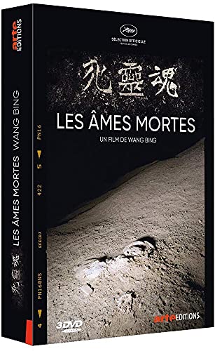 Coffret les âmes mortes, parties 1 à 3 [FR Import] von Arte