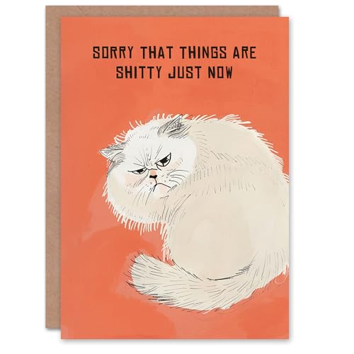 Artery8 Sorry Things Are Sh*tty Grumpy Fluffy Cat Lover Blank For Him Or Her Art Get Well Card von Artery8