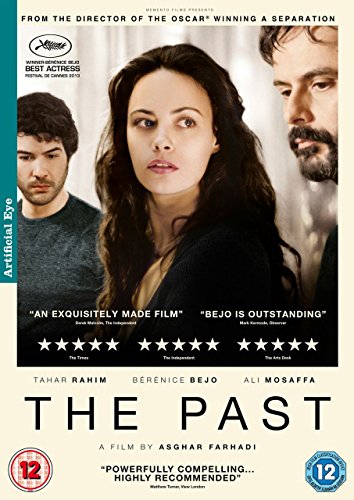 The Past [DVD] von Artificial Eye