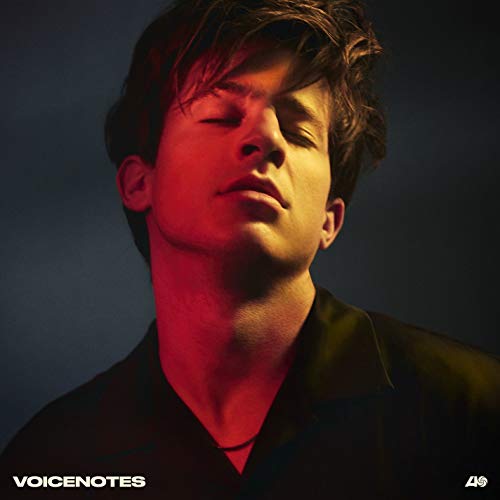 Voicenotes [Vinyl LP] von Artist Partner Group