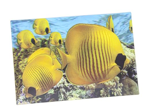 3 D Ansichtskarte Falterfische, Postkarte Wackelkarte Hologrammkarte Tier Fisch Wassertier von Artist Unknown