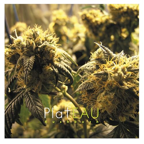 Kushbush [Vinyl LP] von Artoffact Records
