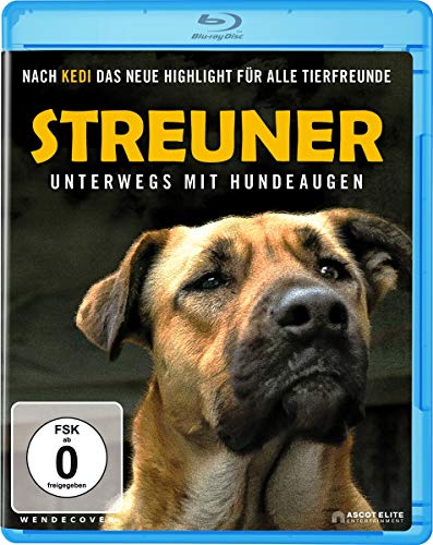 Streuner - Unterwegs mit Hundeaugen [Blu-ray] von Ascot Elite Filmverleih