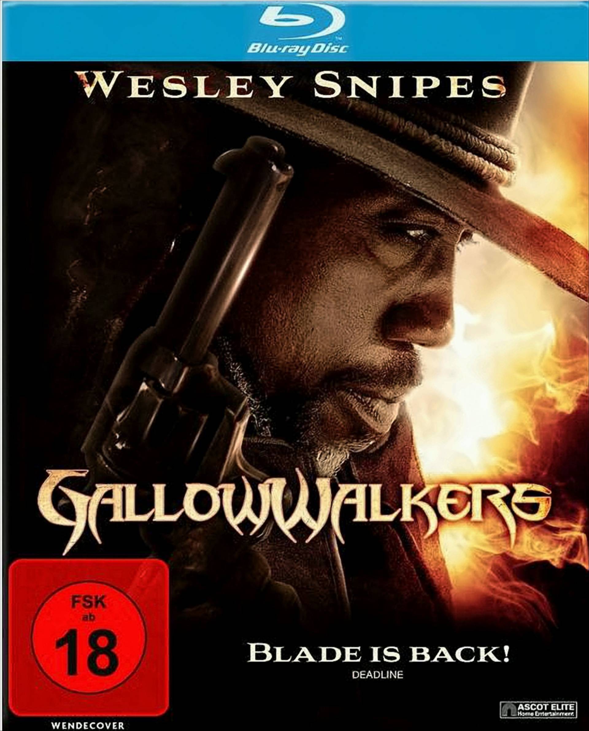 GallowWalkers von Ascot Elite