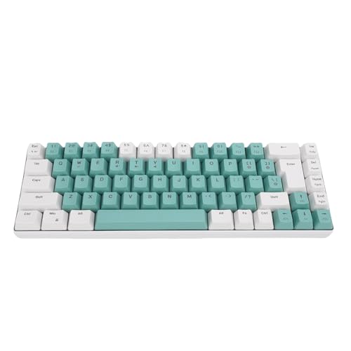 Asixxsix Wired Tastatur, Komfortables Tippen der Ergonomischen Computertastatur mit RGB -Rückbeleuchtung, 60% 68 Taste Gaming -Tastatur für Office -PC -Laptop, Anti -Ghosting (Weißgrün -Farbblock) von Asixxsix