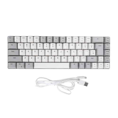 Computertastatur, 68-Tasten-Gaming-Tastatur mit RGB-Hintergrundbeleuchtung, 60 % USB-Anteil, mechanische Tastatur für Büro-PC und Laptop, ergonomisches und komfortables (Grauer weißer Farbblock) von Asixxsix