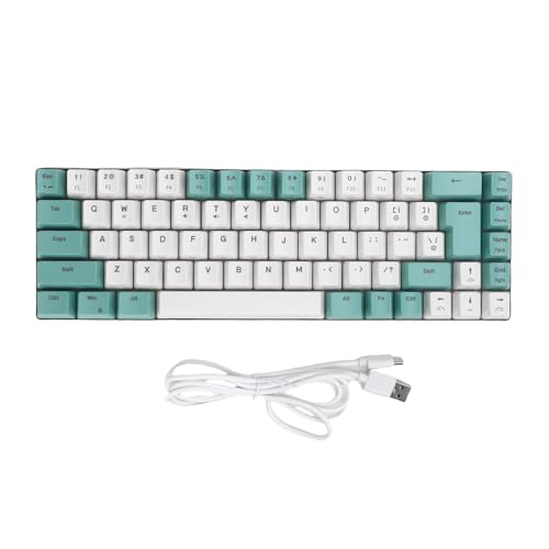 Computertastatur, 68-Tasten-Gaming-Tastatur mit RGB-Hintergrundbeleuchtung, 60 % USB-Anteil, mechanische Tastatur für Büro-PC und Laptop, ergonomisches und komfortables (Grüner weißer Farbblock) von Asixxsix