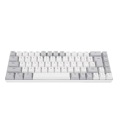 Wired Tastatur, Komfortables Tippen der Ergonomischen Computertastatur mit RGB -Rückbeleuchtung, 60% 68 Taste Gaming -Tastatur für Office -PC -Laptop, Anti -Ghosting (Grauer weißer Farbblock) von Asixxsix