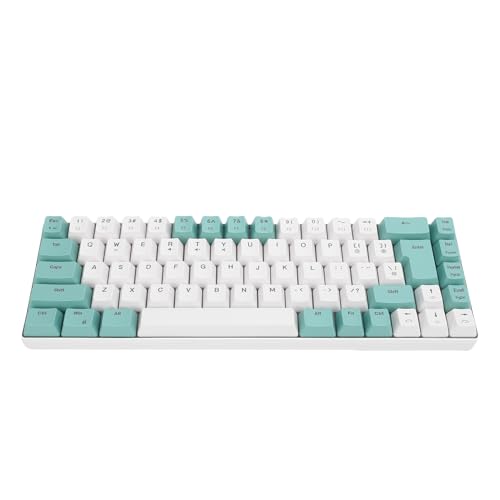 Wired Tastatur, Komfortables Tippen der Ergonomischen Computertastatur mit RGB -Rückbeleuchtung, 60% 68 Taste Gaming -Tastatur für Office -PC -Laptop, Anti -Ghosting (Grüner weißer Farbblock) von Asixxsix