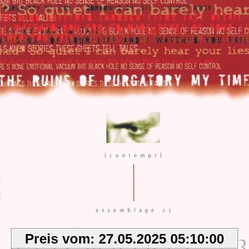 Contempt von Assemblage 23