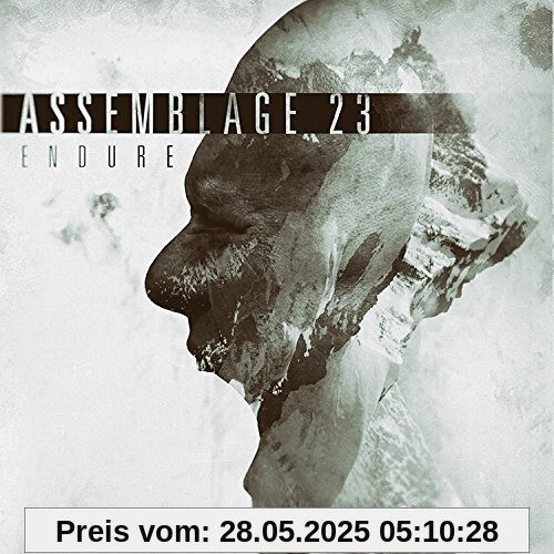 Endure Endure von Assemblage 23