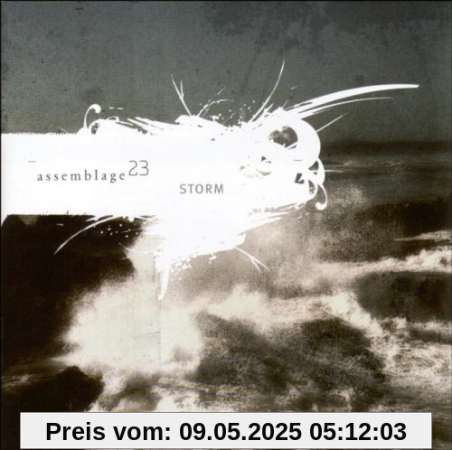 Storm von Assemblage 23
