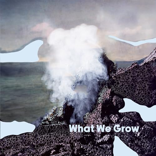 What We Grow [Vinyl LP] von Assim Records (Rough Trade)