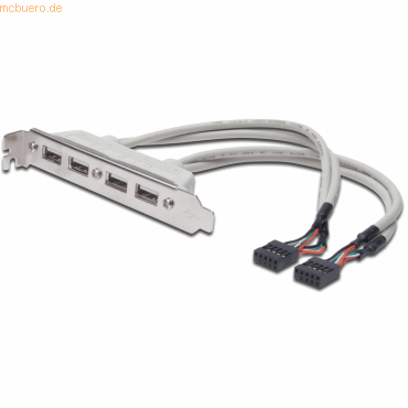 Assmann DIGITUS USB Slotblechkabel, 4x Typ A-2x10pin IDC Bu/Bu 0.25m von Assmann