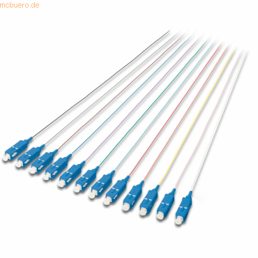 Assmann SC Fiber Pigtail,LB, 09/125 µ 12 Pcs.,DIN IEC 304, SM, OS2 2m Assmann SC Fiber Pigtail,LB, 09/125 µ 12 Pcs.,DIN IEC 304, SM, OS2 2m von Assmann