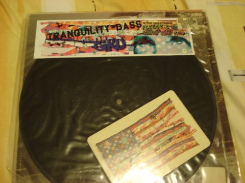 Bird [Vinyl Single] von Astralwerks