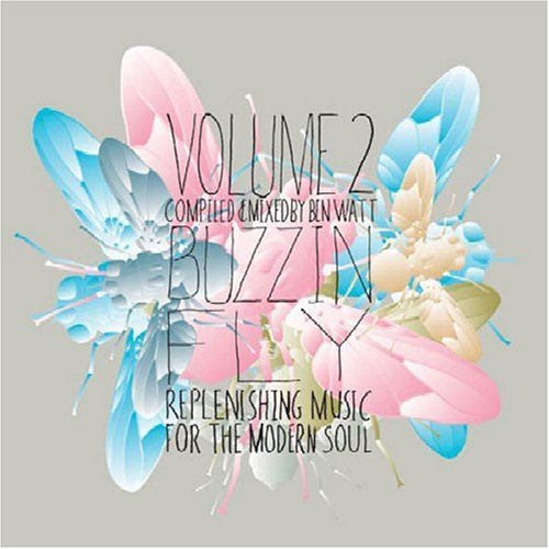 Buzzin' Fly Volume 2 by Watt, Ben, Martin, Justin, Ben Watt (2005) Audio CD von Astralwerks