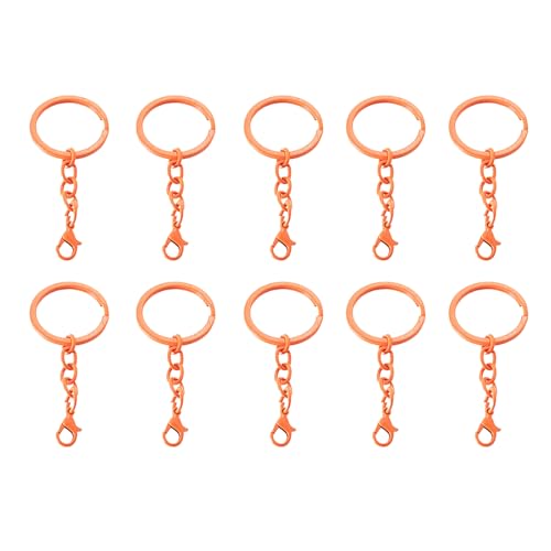 Metallschlüsselringe mit Ketten und Verschlüssen zum Organisieren von Schlüsseln, Schlüsselanhänger-Kits, Schmuckherstellung, 10 Stück Metallschlüsselringe mit Ketten und Verschlüssen zum Organisieren von Schlüsseln, Schlüsselanhänger-Kits, Schmuckherstellung, 10 Stück von Asukohu