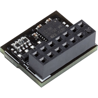 ASUS TPM-SPI Modul von Asus