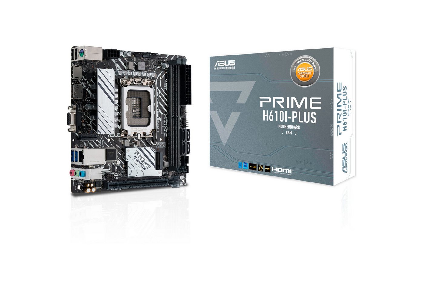 Asus ASUS PRIME H610I-PLUS-CSM, Mainboard Mainboard Asus ASUS PRIME H610I-PLUS-CSM, Mainboard Mainboard von Asus