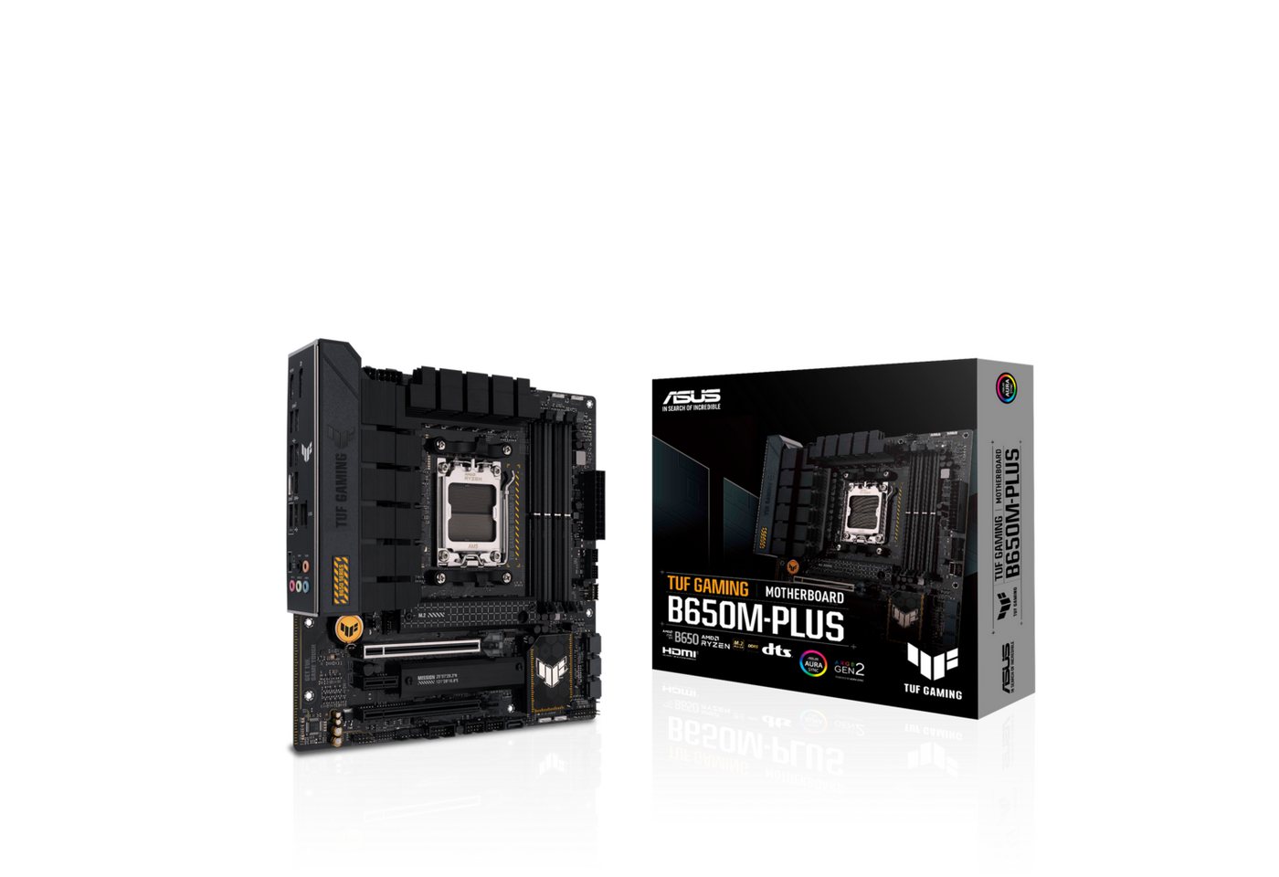 Asus B650M-PLUS Mainboard Asus B650M-PLUS Mainboard von Asus