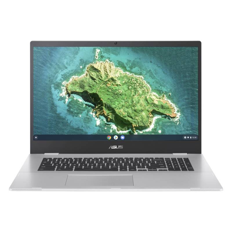 Asus Chromebook CX1 CX1700CKA-AU0101 silber | Notebook |17.3 Zoll | 8 GB | Intel? Celeron? N4500 Prozessor |UHD Graphics von Asus