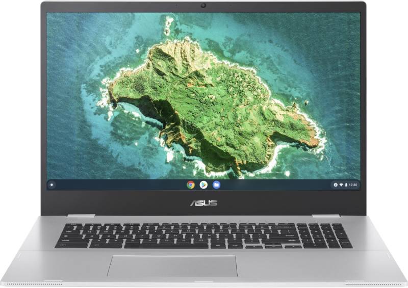 Chromebook CX1 CX1700CKA-AU0101 43,9 cm (17,3") Chromebook transparent silver von Asus