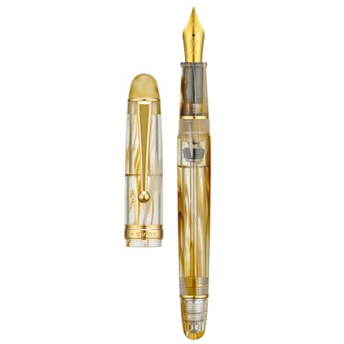 Asvine V126 Füllfederhalter mit feiner Spitze, brauner Wirbel, transparenter Acrylstift, Geschenketui Asvine V126 Füllfederhalter mit feiner Spitze, brauner Wirbel, transparenter Acrylstift, Geschenketui von Asvine