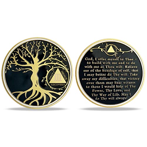 AtSKnSK 1–10 Jahre Nüchternheit Chip Baum des Lebens AA Medaillon Recovery Geschenk Alkoholiker Anonyme Münze Jahrestag Token (3 Jahre) von AtSKnSK