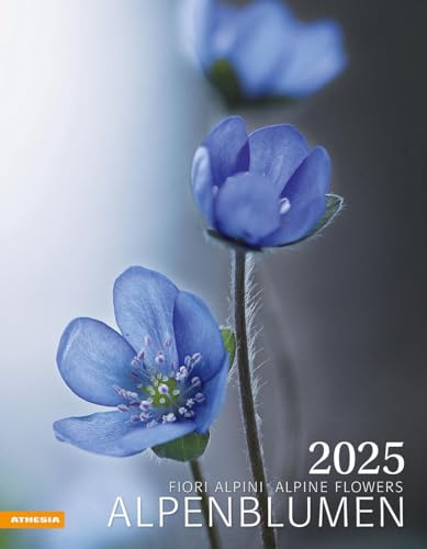 Alpenblumen Kalender 2025: Fiori alpini – Alpine flowers von Athesia-Tappeiner Kalender