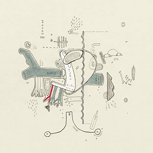 Tiny Changes: A Celebration of Frightened Rabbit's 'The Midnight Organ Fight' [VINYL] [Vinyl LP] von Atlantic